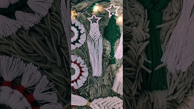 MP4_20241129_165811_PHOTOMOVIE.mp4