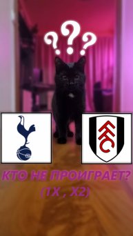 Прогноз на 13 тур Английской Премьер-лиги Тоттенхэм - Фулхэм