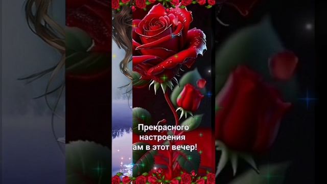 lv_0_20241201124442.mp4