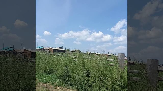 Деревня!!
