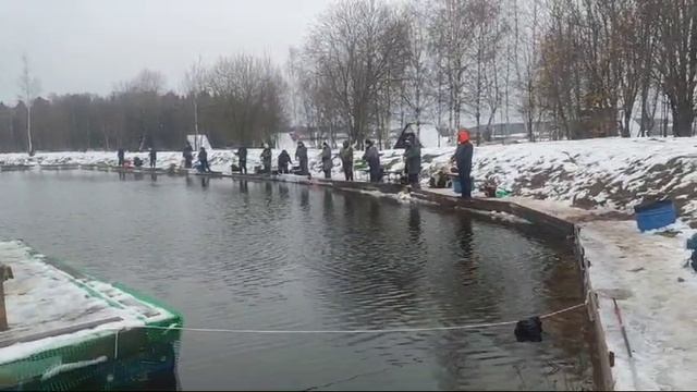 WhatsApp Video 2024-12-01 at 09.57.49