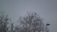 Three days in EDgunsk, part I