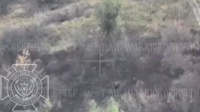 💥Уничтожение Пикапа и опорника ВСУ расчетом FPV группировки "Север" !!!