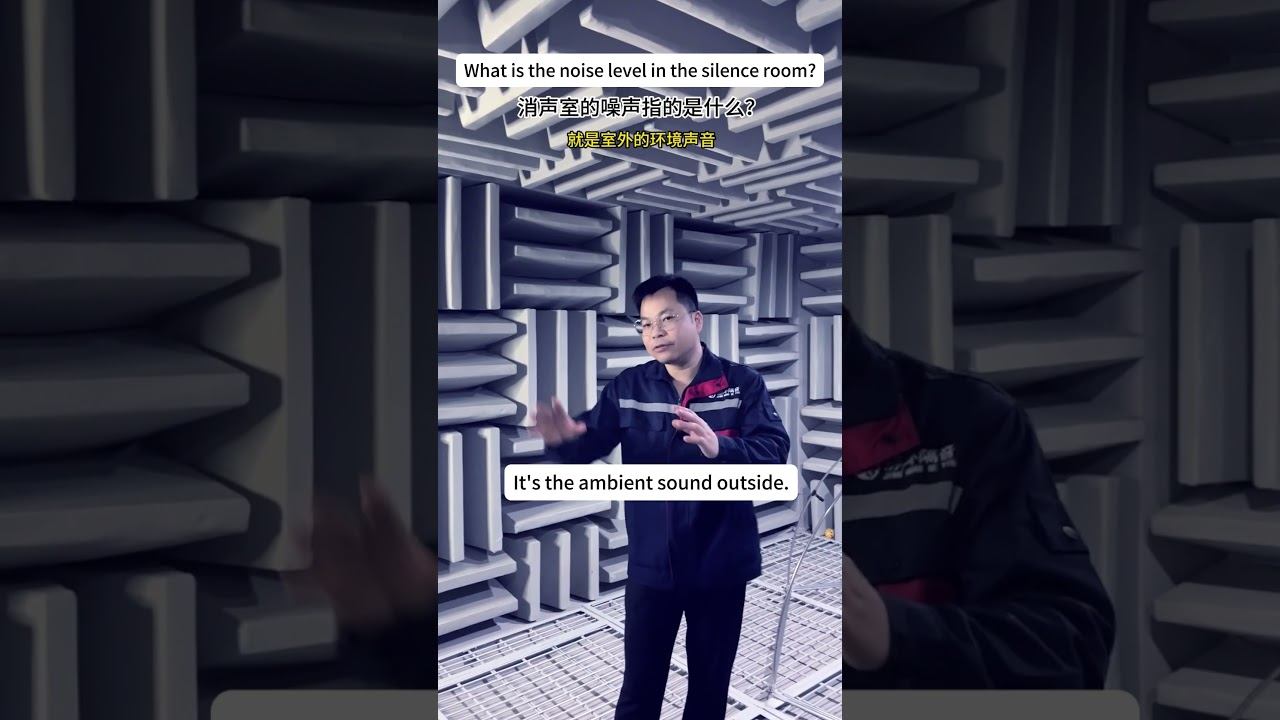 What is the noise in an anechoic chamber?