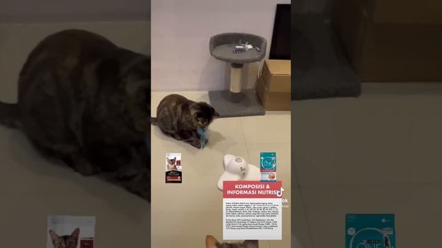 Review Purina One