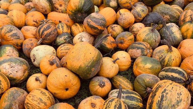 9862694-hd_1920_1080_30fps