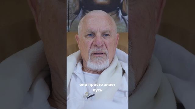 Как отличить внутреннее знание от голоса эго