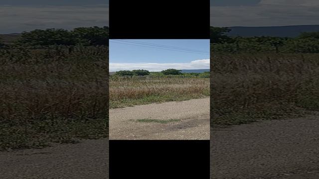 1000002739.mp4
