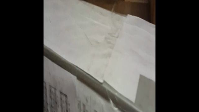 VID20241201112305.mp4