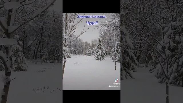 Зимний парк.
