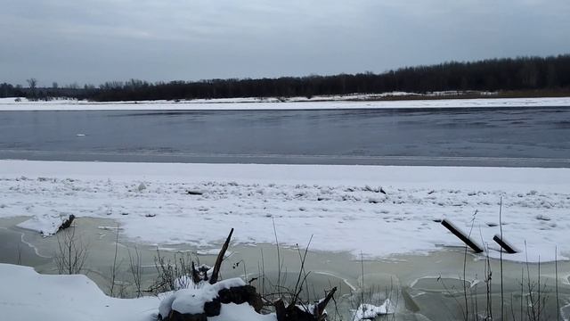 VID_20241201_125459.mp4
