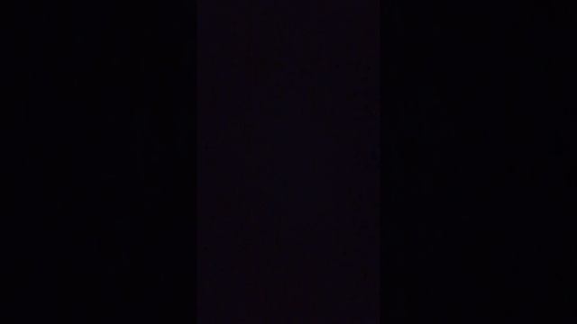 scene_output.mp4