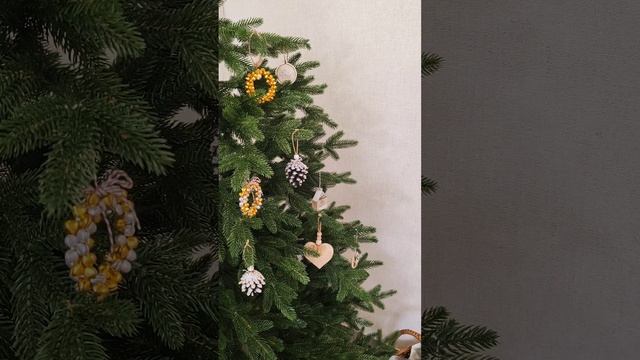 С первым днем зимы 🤗