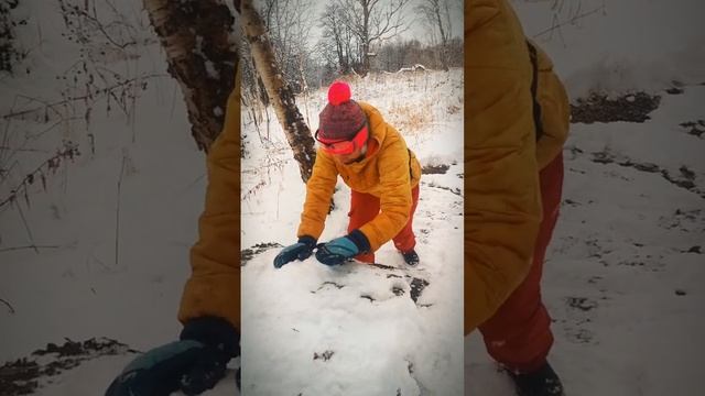 КАК МЫ СНЕГОВИКА ЛЕПИЛИ. ПЕС ЧУПА.