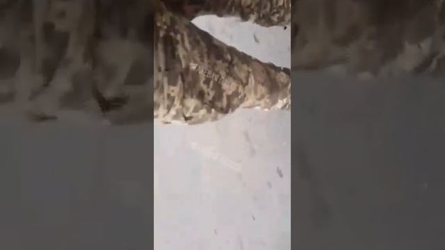 Принуждение к смерти.Уклонист.