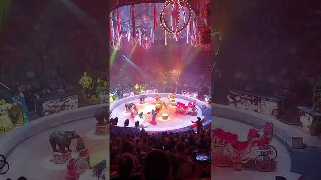 🎪Цирк 5 континентов Ставрополь 3 ноября
