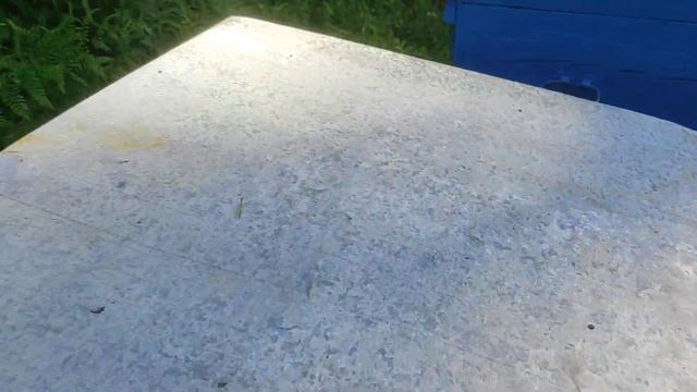 отроились и работают