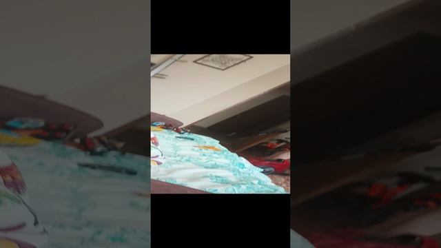 мой брат Милашка играет с мячём