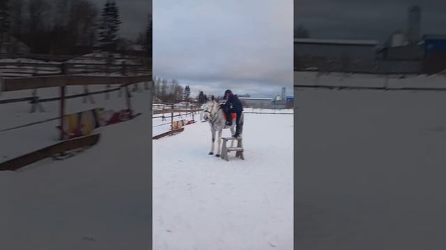 Хорошее начало воскресения💥💯🔥🐴🤪