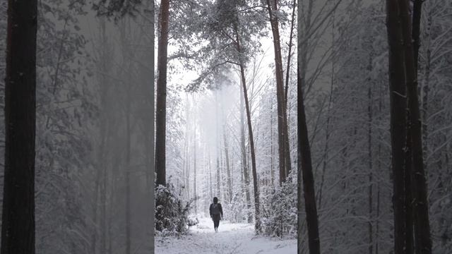 С первым днём зимы ❄️