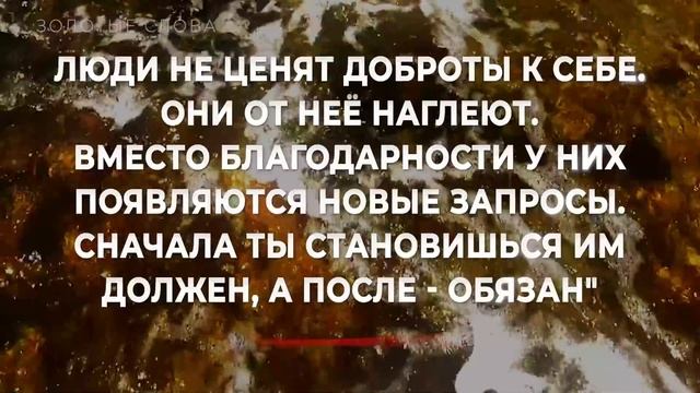 Невероятно Правдивые Цитаты с Глубоким Смыслом до Слёз Золотые слова Проверенные Временем1080p