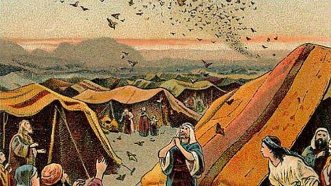 Книга Второзаконие. Странствование «колен Израилевых» по пустыне и достижение «земли обетованной»