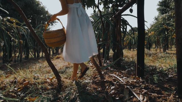 11760138-uhd_4096_2160_30fps