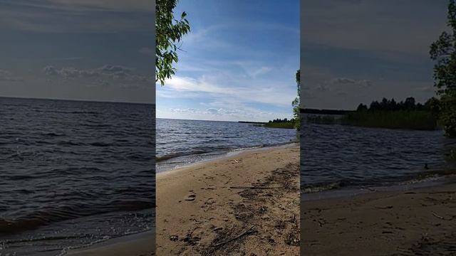 Белое озеро.Липин бор.