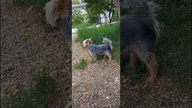 мой лучший друг