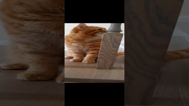 759.mp4