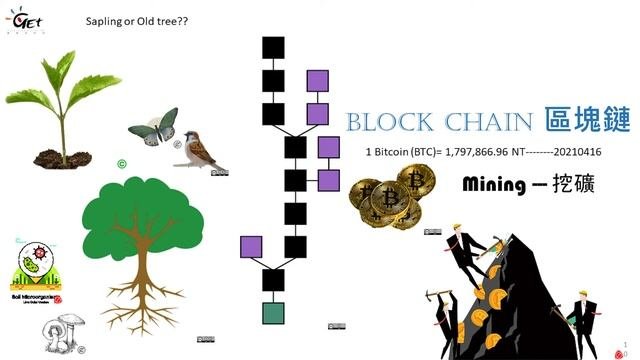 CH14 Carbon Capture and Storage --  A solution to the greenhouse effect? II / 章之平老師