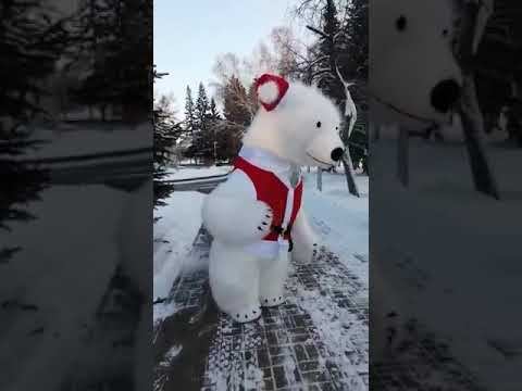 Белый Мишка - Медведь. сайт aerokostum.ru  89832530808