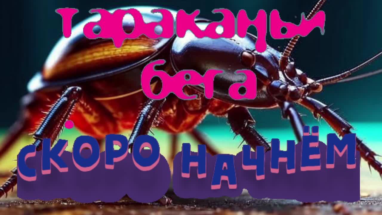 Тараканьи бега
