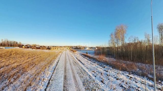 3973162