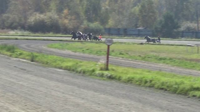 21.09.2024 г. - заезд 1 - Приз "Имени Московского конезавода".