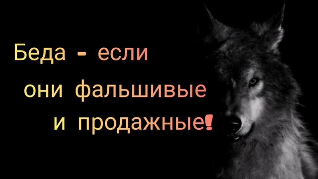 Не беда, если нет друзей