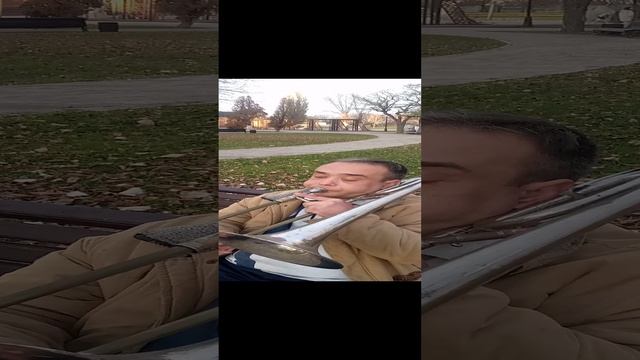 музыка