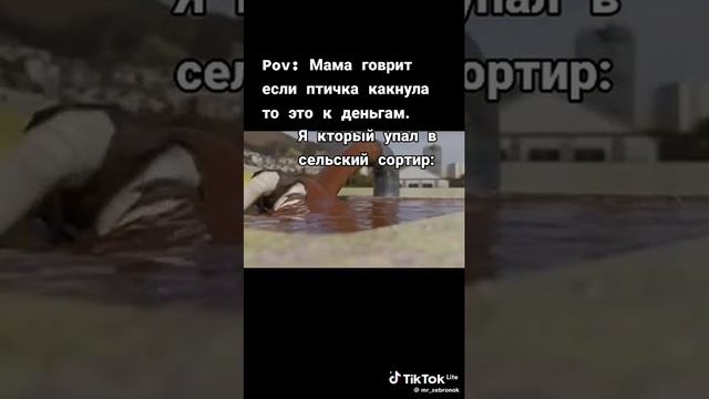 1000002965.mp4