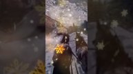В лунном сиянии. Ансамбль "Золотое кольцо"#alecsniks#фантазии_нейросеть