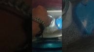 Хитрость для унитазного брчка(Часть2)