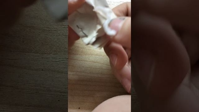 новое видио ураа