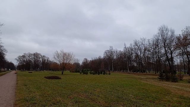 01.12.2024 . Погода Петербург . 15:47 . +6°