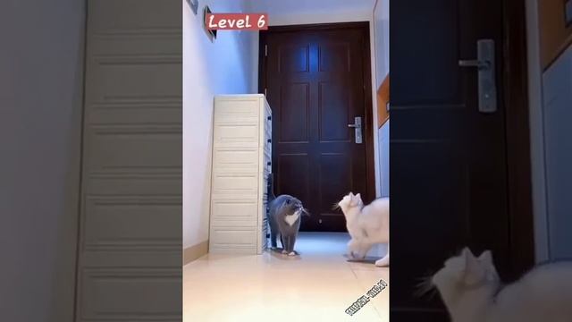 vzyata