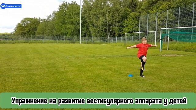 Упражнение на развитие вестибулярного аппарата у д