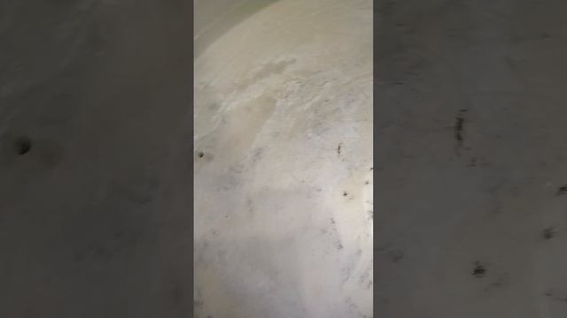вытащил сальник не повредив.