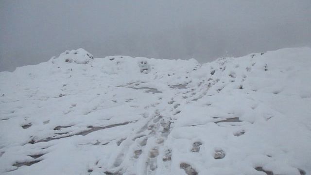 MVI_2771