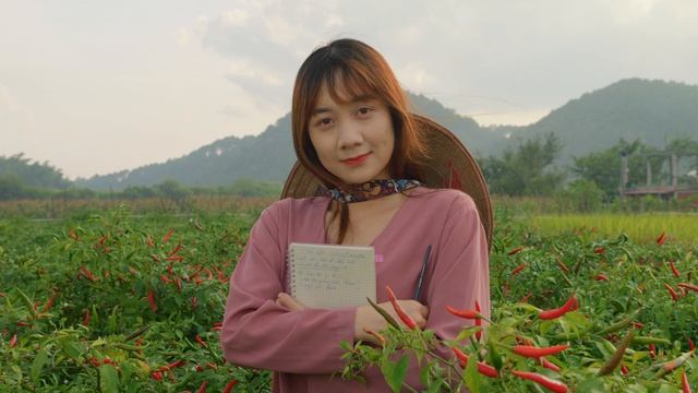 12072757_1920_1080_24fps