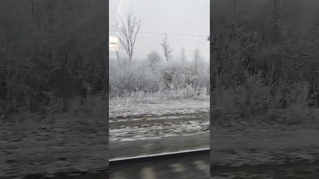 Еду на поезде😍