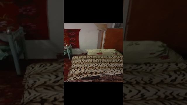 1000005454.mp4