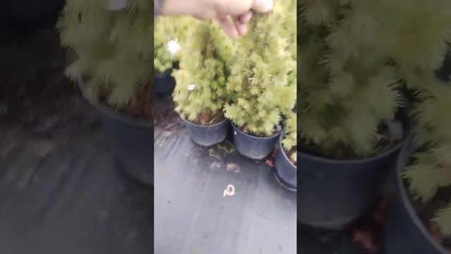 1000017844.mp4